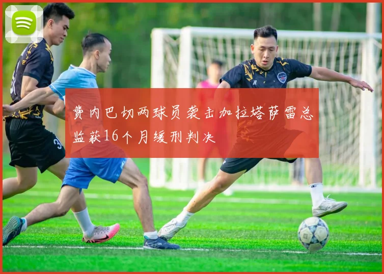 费内巴切两球员袭击加拉塔萨雷总监获16个月缓刑判决